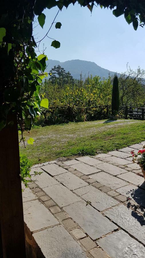Alla Battuta Sansepolcro Esterno foto