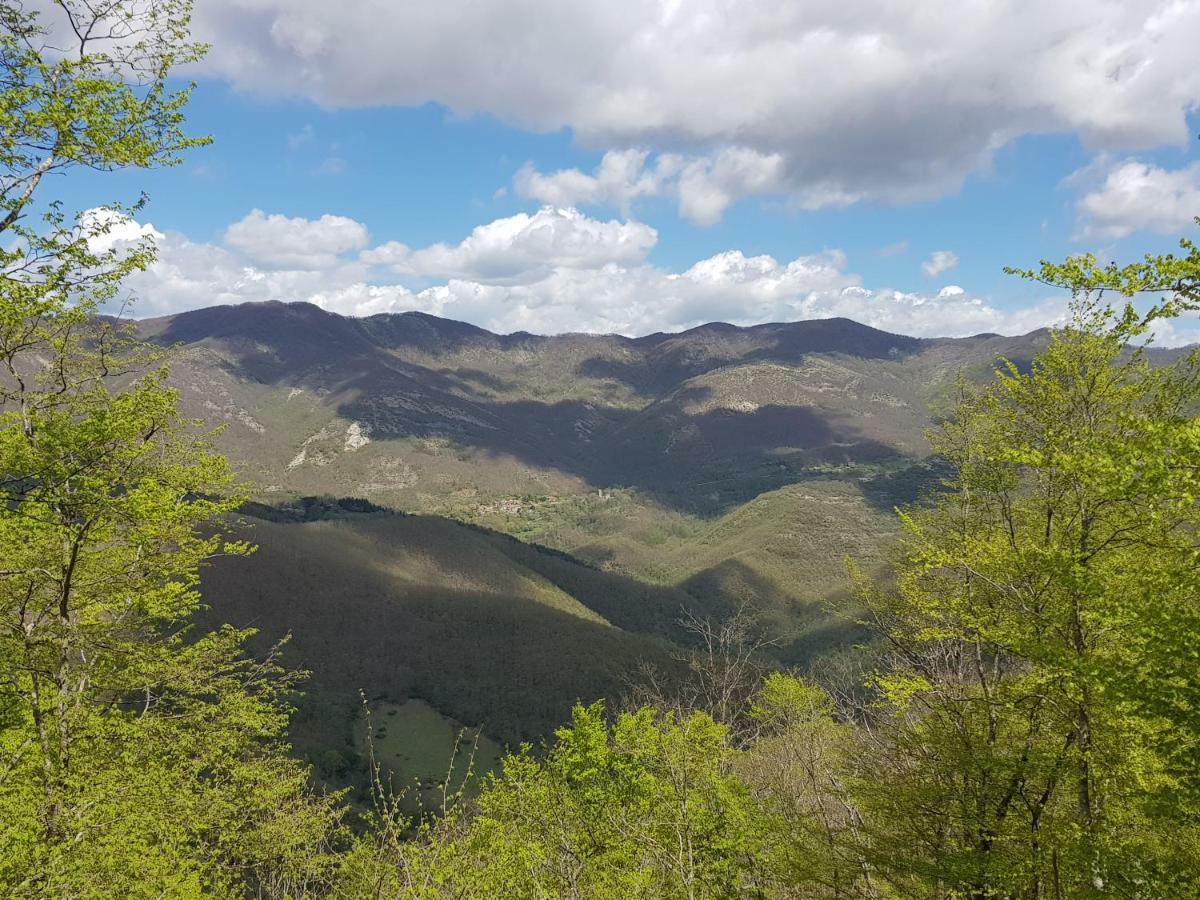 Alla Battuta Sansepolcro Esterno foto